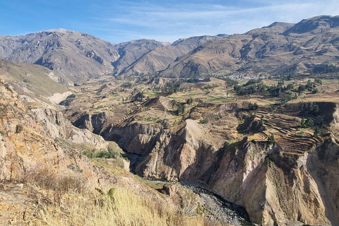 Arequipa: tour di 1 giorno del Canyon del Colca e dei bagni termali