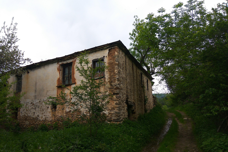 Skopje-Ohrid MTB Erlebnis: Unendliche Aussichten auf Mazedonien