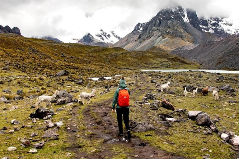 Da Cusco: Escursione di una giornata intera alle 7 lagune di AusangateEscursione alle sorgenti termali delle 7 lagune di Ausangate