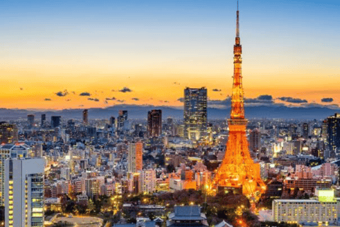 From Tokyo: Tokyo Full Day Private Sightseeing City Tour Tokyo Full Day Private Customize Tour