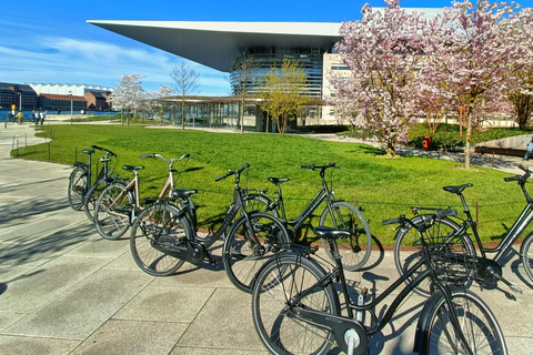 Copenhagen Architecture: 3-Hour Expert-Led Bike Tour Private Tour - EN/FR/ES/IT - 3 hours
