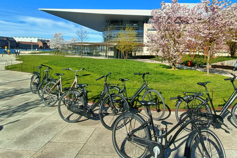Copenhagen Architecture: 3-Hour Expert-Led Bike Tour Private Tour - EN/FR/ES/IT - 3 hours