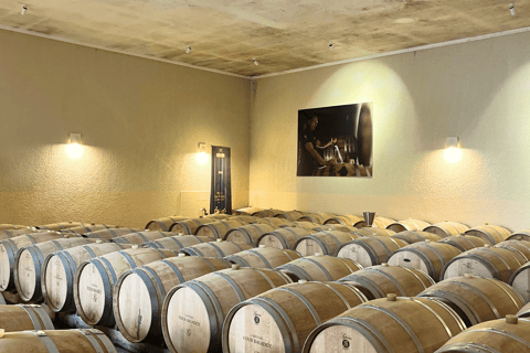 Bordeaux: Tour dei vini e dei vigneti di Saint-Émilion