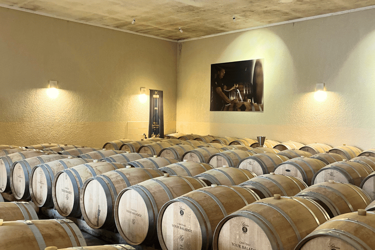 Bordeaux: Tour dei vini e dei vigneti di Saint-Émilion