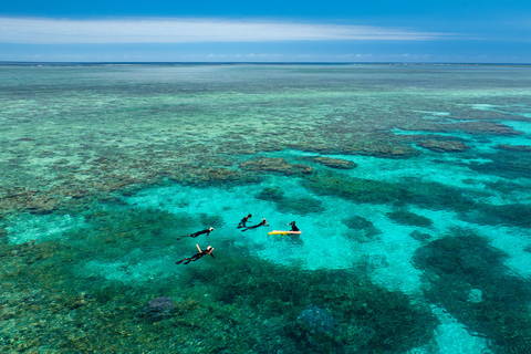Port Douglas: Just 12 Passengers Guided Snorkel Reef Cruise