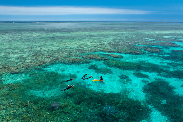 Port Douglas: Just 12 Passengers Guided Snorkel Reef Cruise