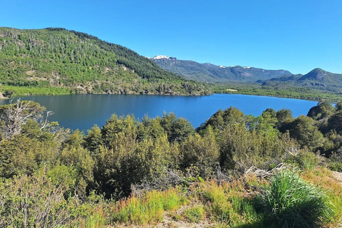 San Martín de los Andes: Seven Lakes Route Guided Day Trip