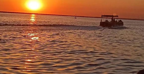 Faro: Ria Formosa Guided Sunset Tour by Catamaran