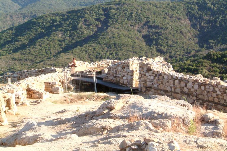 Thessaloniki: Halkidiki Wine Tour with Aristotle's Park