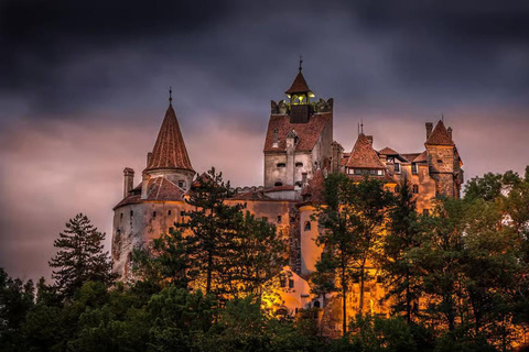 From Brasov: Peles and Dracula's Castle Guided Day Trip