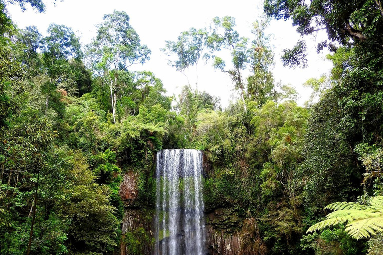 Darwin till Cairns: Kakadu &amp; Gulf Savannah 11-dagars rundtur