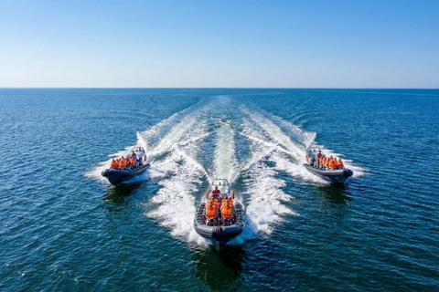 Gdańsk: Bay of Gdańsk Private High-Speed RIB Boat Transfer Sopot to Hel Private High-Speed RIB Boat Transfer