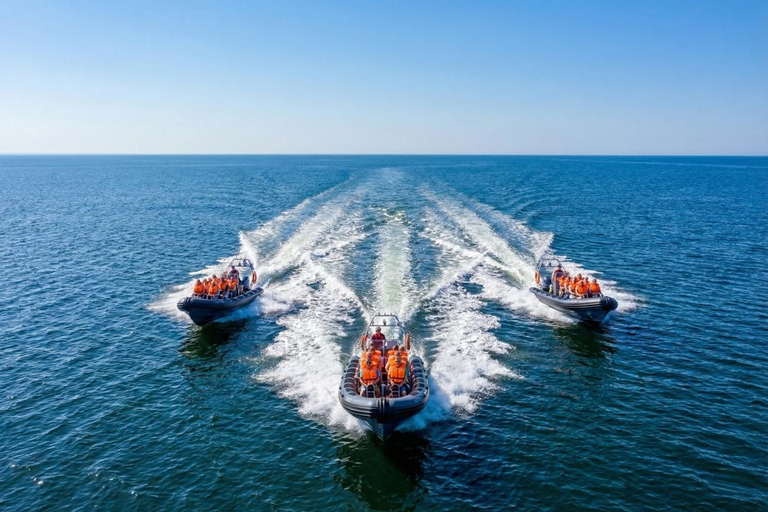Gdańsk: Bay of Gdańsk Private High-Speed RIB Boat Transfer Sopot to Hel Private High-Speed RIB Boat Transfer