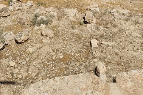 Amman - Madaba - Berg Nebo - Totes Meer Ganztagesausflug