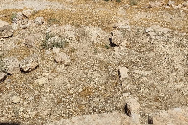 Amman - Madaba - Berg Nebo - Totes Meer Ganztagesausflug