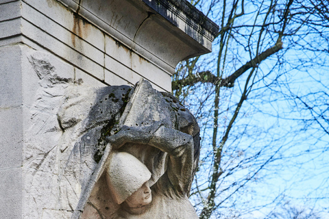 Bruxelles: Tour degli orrori coloniali di Leopoldo II in CongoBruxelles: Tour a piedi del patrimonio coloniale