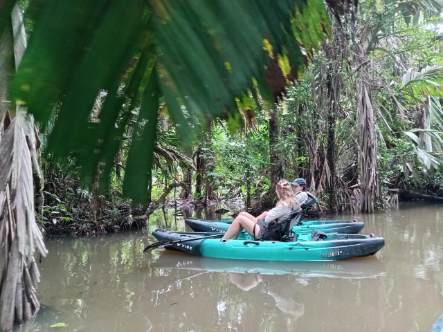 Visit Tortuguero Kayak Tour through the Natural Canals in Tortuguero