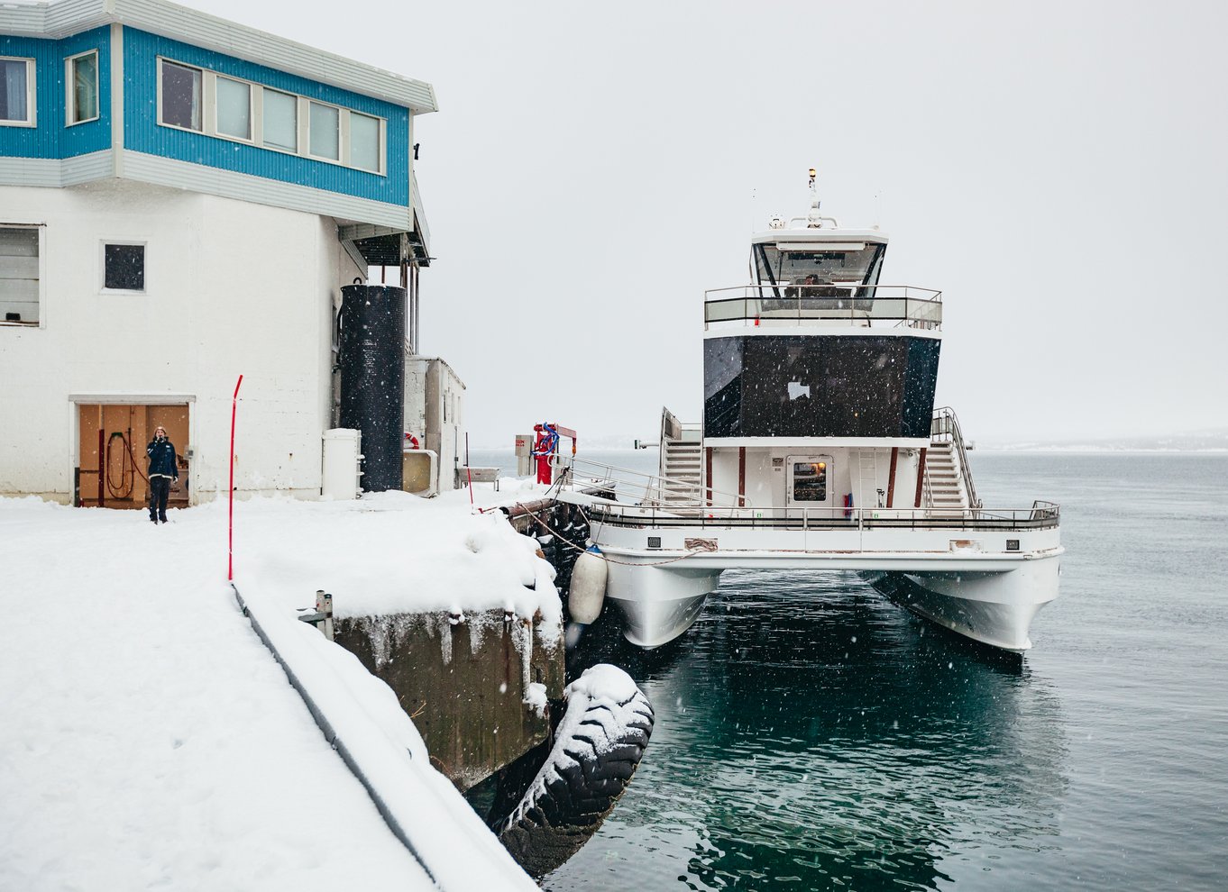 Tromsø: Arktisk fjordkrydstogt med hybridelektrisk katamaran