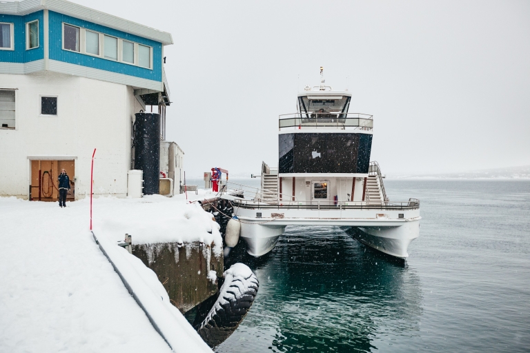 Tromsø: Arktyczny rejs po fiordzie katamaranem hybrydowymTromsø: Arktyczny rejs po fiordzie elektrycznym katamaranem