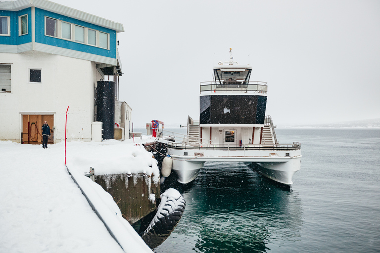 Tromsø: boottocht in fjord met hybride-elektrische catamaranTromsø: boottocht in fjord met elektrische catamaran