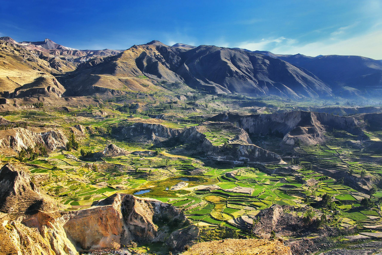 Dagvullende tour naar de Colca Canyon met transfer naar Puno