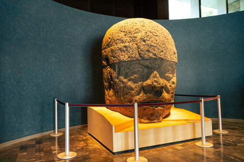 Mexico City: Anthropology Museum Art Tour with Guide