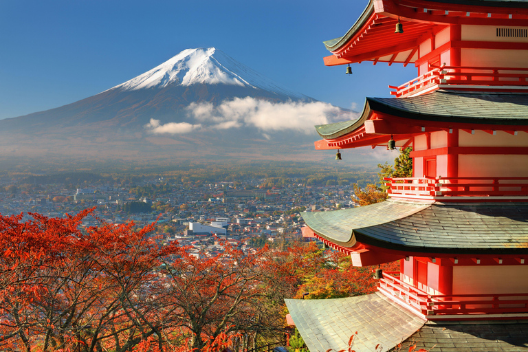 Tokyo: Mt. Fuji & Lake Kawaguchi Small Group Tour - 6 Spots Hotel Pickup Option