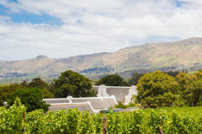 Kaapstad: hop-on-bus &amp; wijnproeverij bij Groot ConstantiaKaapstad: Hop-On Bus &amp; Wijnproeverij bij Groot Constantia