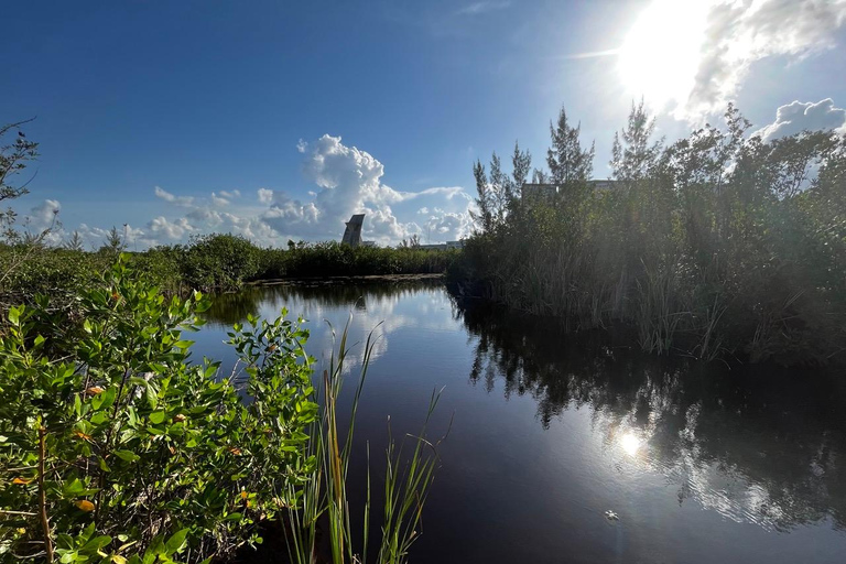 Avondwandeltour door het centrum van Cancún