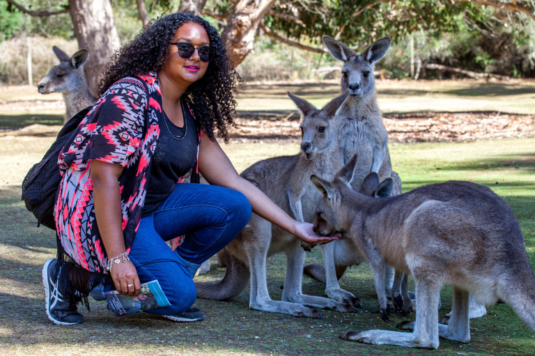 Hobart: 2 Day Bruny Island Escape & Port Arthur with Devils