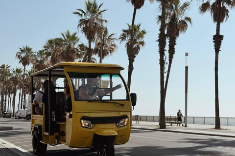 Barcelona: Electric Tuk-Tuk Tour with Local Guide