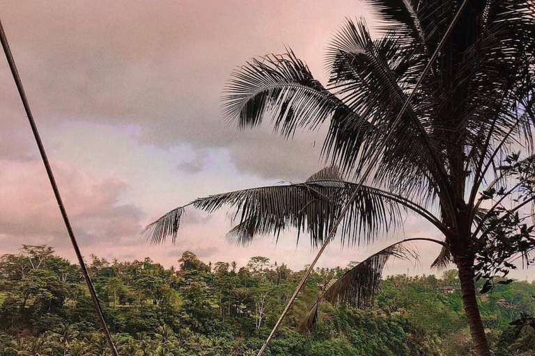 Ubud : Real Bali Swing Experiences Real Bali Swing Premium Packages