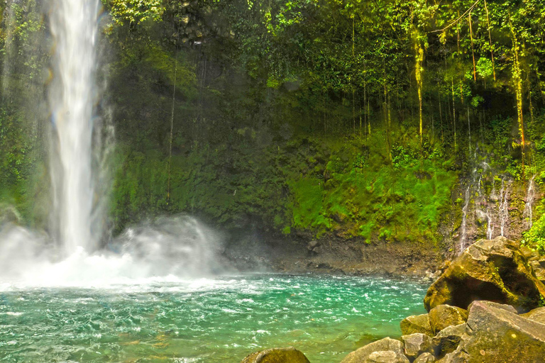 COSTA RICA:UPPTÄCK COSTARICAS VILDA DJUR-STRAND &amp; SKOG 2VECKOR