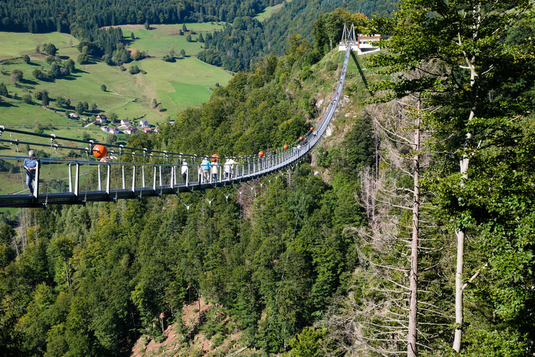 Munich: Zugspitze & eibsee, Neushwenstein & Alpsee + Austria Group : Zugspitze & eibsee, Neushwenstein & Alpsee + Austria