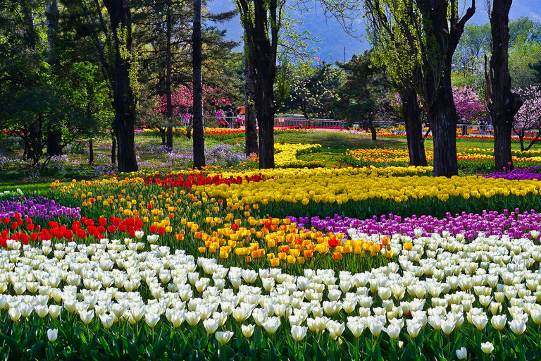 Beijing: Summer Palace Guided Tours & Top Park Combos Private Summer Palace & Old Summer Palace Park Walk Tour