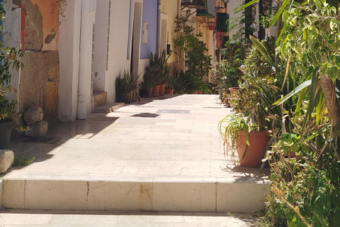 Alicante: tour a pie con guía locale (2 ore) - centro storicoGuida in francese