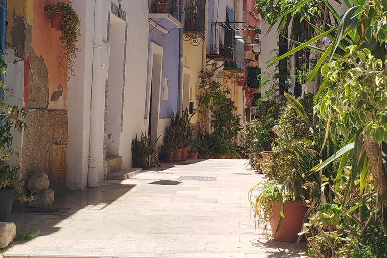 Alicante: tour a pie con guía locale (2 ore) - centro storicoGuida in francese
