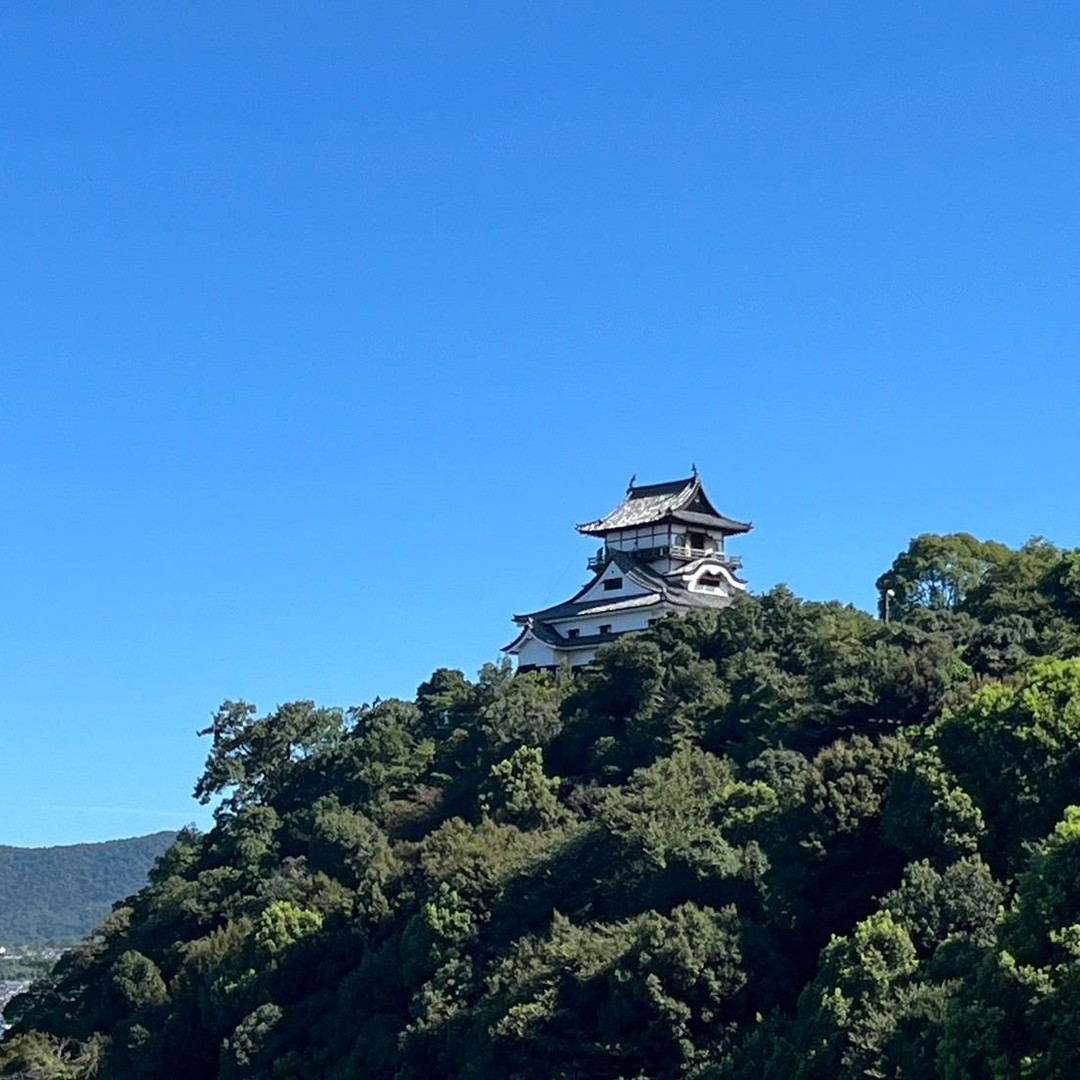 メディア コラージュ
