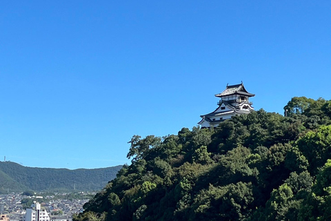 Desde Nagoya: Castillo de Inuyama, Garganta de Ena, Magome, Excursión a Tsumago