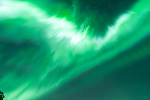 Rovaniemi: Northern Lights Tour - Aurora Viewing Guaranteed