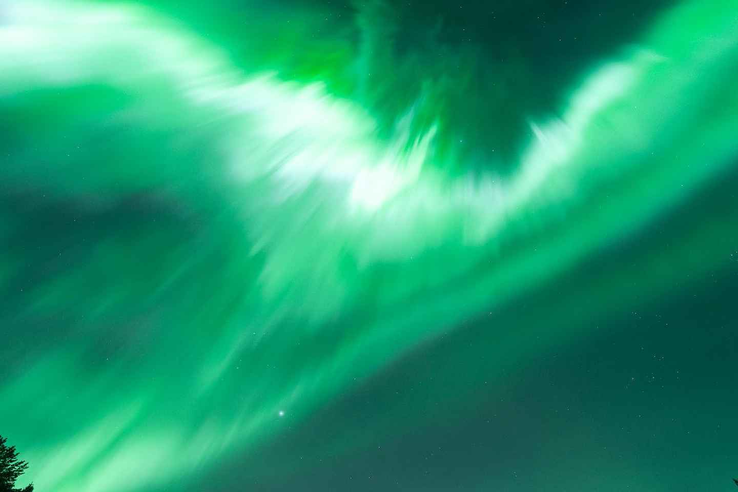 Rovaniemi: Northern Lights Tour - Aurora Viewing Guaranteed