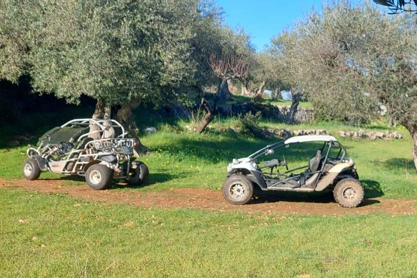 Buggy/Quad day trips in Puglia with 4-seater buggies also available on request.