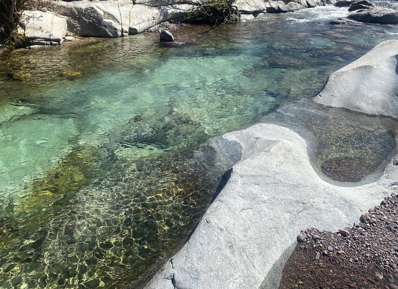 Calvi: Asco Valley 4x4 dagstur med guide