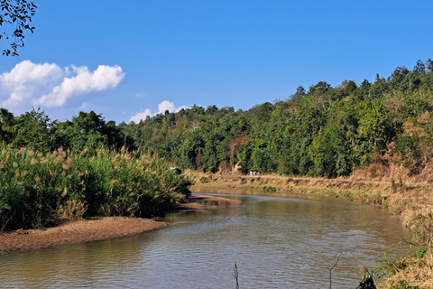 Chiang Mai: Natura e campagna in bicicletta per un'intera giornataVisita guidata in inglese