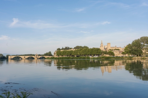 Avignon: rondleiding met wijn en Saint-Rémy-de-Provence