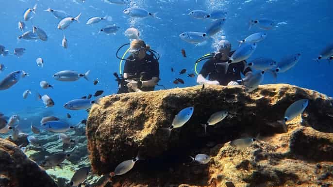 Open Water Diver Course with Private Instructor in Cyprus