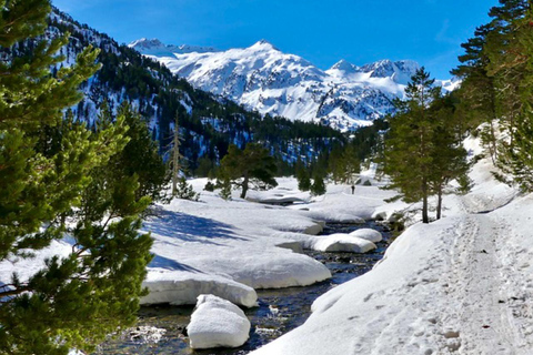 Dia inteiro de raquetes de neve particulares