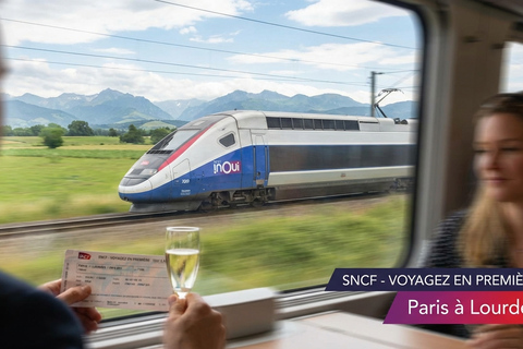 Lourdes Sanctuary Guided Tour with Transfers from Paris