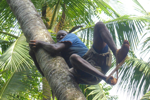 Zanzibar: The Swahili Spice Experience – wycieczka po przyprawach + kulinarna podróż"The Swahili Spice Experience" (z miejscem spotkania)