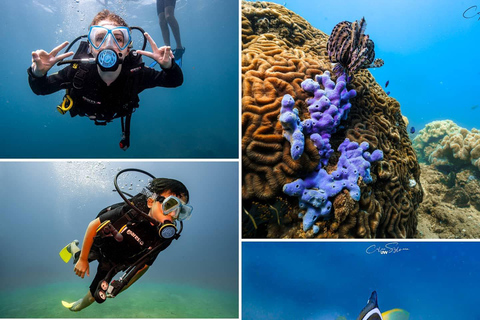Cham Islands: Scuba Diving Experience with 2 Divemaster Opts PADI Scuba + Snorkeling (1 Dive + 1 Snorkel)